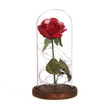 LED Lamp Rose Bottle